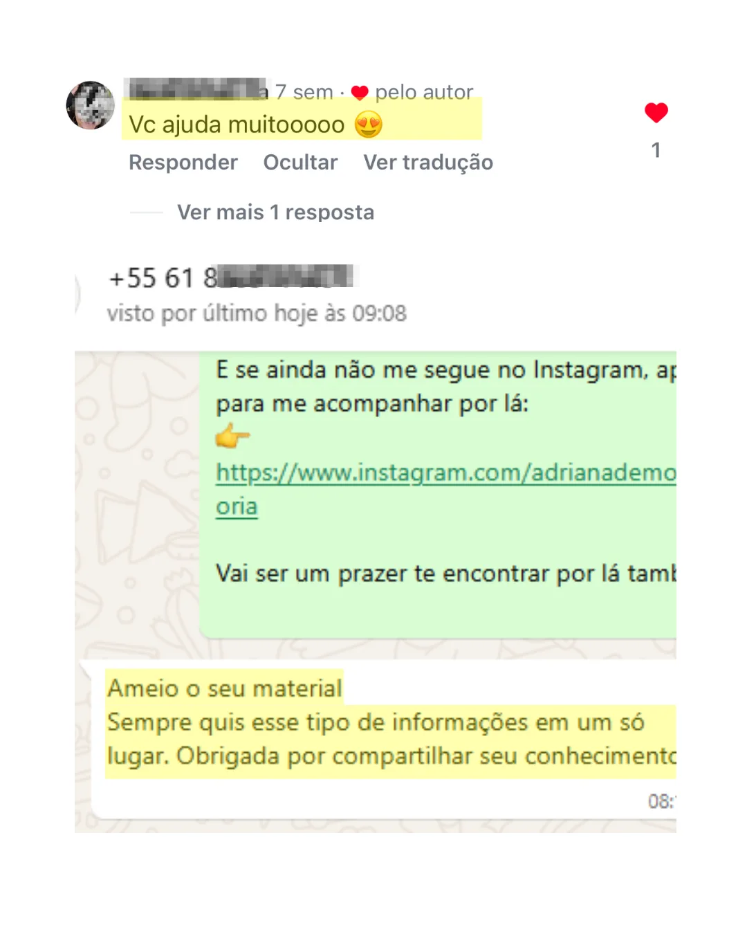 Cliente elogiando o material por reunir as informações de estilo em um só lugar